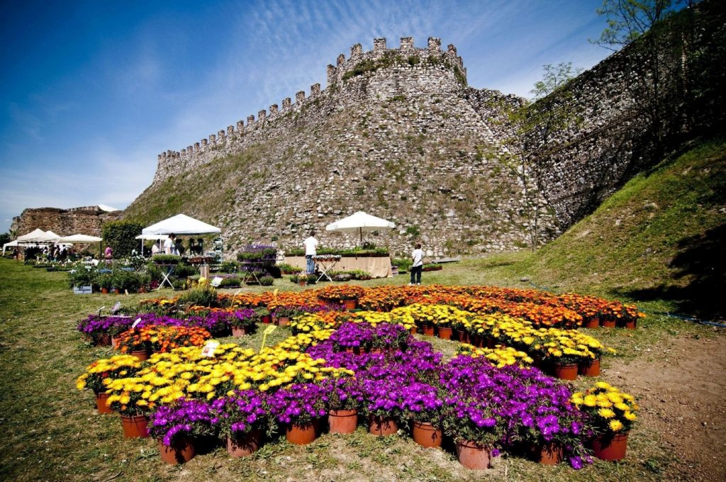 Fiori nella Rocca 2021 - Lonato del Garda